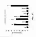 Fig. 17 - PEPTIDE-BASED REGULATION OF GAP JUNCTIONS
