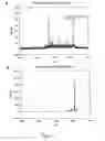 Fig. 08 - Multispecific peptides