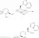 Fig. 37 - PROCESSES FOR PREPARING AMINO-SUBSTITUTED GAMMA-LACTAMS