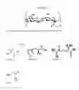 Fig. 05 - Sustained drug delivery system