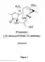 Fig. 02 - Prostratin and structural or functional analogs thereof
