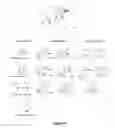 Fig. 10 - Prostratin and structural or functional analogs thereof