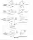 Fig. 13 - Prostratin and structural or functional analogs thereof