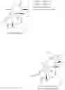 Fig. 19 - Prostratin and structural or functional analogs thereof