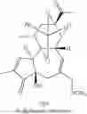 Fig. 33 - Prostratin and structural or functional analogs thereof