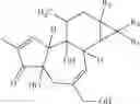Fig. 40 - Prostratin and structural or functional analogs thereof