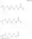 Fig. 34 - Organometallic compound and production method thereof