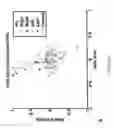 Fig. 04 - Method and apparatus for assessing or detecting brain injury and neurological disorders