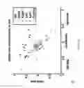 Fig. 06 - Method and apparatus for assessing or detecting brain injury and neurological disorders