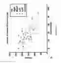 Fig. 07 - Method and apparatus for assessing or detecting brain injury and neurological disorders