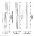 Fig. 13 - Method and apparatus for assessing or detecting brain injury and neurological disorders