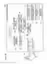 Fig. 19 - Concentration determination apparatus, concentration determination method, and program