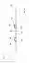 Fig. 47 - Methods and systems for determining vascular bodily lumen information and guiding medical devices