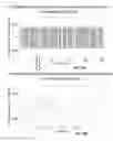 Fig. 16 - METHODS AND SYSTEMS FOR DETERMINING VASCULAR BODILY LUMEN INFORMATION AND GUIDING MEDICAL DEVICES
