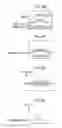 Fig. 11 - DIAGNOSIS SUPPORT APPARATUS, DIAGNOSIS SUPPORT METHOD, LESIONED PART DETECTION APPARATUS, AND LESIONED PART DETECTION METHOD