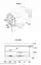 Fig. 27 - DIAGNOSIS SUPPORT APPARATUS, DIAGNOSIS SUPPORT METHOD, LESIONED PART DETECTION APPARATUS, AND LESIONED PART DETECTION METHOD