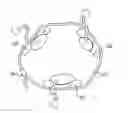 Fig. 01 - SEMI-RIGID COMPRESSION SPLINT FOR APPLICATION OF THREE-DIMENSIONAL FORCE