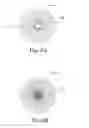 Fig. 06 - Multi-chamber cellular mixing and delivery system and method
