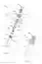 Fig. 02 - Spring driven adjustable oral syringe