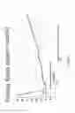 Fig. 08 - [METHODS AND APPARATUSES FOR ISOLATING AND PREPARING STEM CELLS]