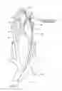 Fig. 06 - Systems and methods for removing obstructive matter from body lumens and treating vascular defects