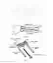 Fig. 02 - Dorsal forearm plate
