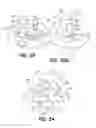 Fig. 20 - Surgical suture system