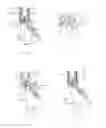 Fig. 02 - Bone screw