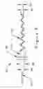 Fig. 06 - Bone Screw For Orthopedic Apparatus