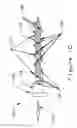 Fig. 11 - Bone Screw For Orthopedic Apparatus