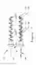 Fig. 18 - Bone Screw For Orthopedic Apparatus