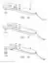 Fig. 07 - DEVICE AND METHOD FOR THE TREATMENT OF PAIN WITH ELECTRICAL ENERGY