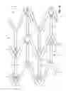 Fig. 02 - Stent having improved stent design