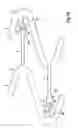 Fig. 07 - Stent having improved stent design