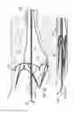 Fig. 11 - Percutaneously implantable flap stent, device for applying the same and method for producing the flap stent