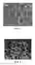 Fig. 03 - IMPLANTABLE MATERIALS