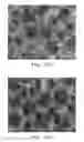 Fig. 11 - IMPLANTABLE MATERIALS