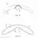 Fig. 07 - Apparatus and methods for nipple and breast formation