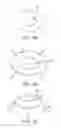 Fig. 08 - Apparatus and methods for nipple and breast formation