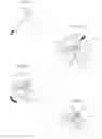 Fig. 11 - Hip joint device and method