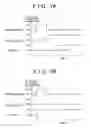 Fig. 08 - Occupant protection apparatus and control method therefor