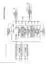 Fig. 17 - Portable electronic device, and method for operating portable electronic device