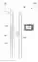 Fig. 01 - Extending Data Retention of a Data Storage Device Downhole