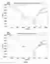 Fig. 16 - Tool for rapid configuration of a river model using imagery-based information