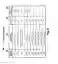 Fig. 19 - Computer-Implemented Method For Displaying Patient-Related Diagnoses Of Chronic Illnesses