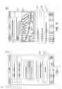 Fig. 12 - CAR PRICING AND PURCHASING SYSTEM AND METHOD