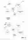 Fig. 12 - Semantic analysis of information