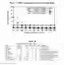 Fig. 07 - Systems and methods for network acceleration and efficient indexing for caching file systems