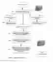 Fig. 17 - Systems and methods for building a universal multimedia learner