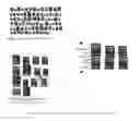 Fig. 44 - Systems and methods for building a universal multimedia learner